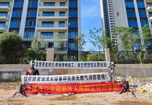 海口碧桂园爆料最新消息,揭秘项目最新进展与亮点  第2张