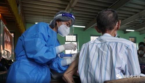 缅甸医生爆料事件视频,疫情下的惊人内幕  第2张