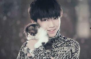 吃瓜八卦娱乐圈陈哲远,娱乐圈吃瓜达人，揭秘明星幕后故事  第2张